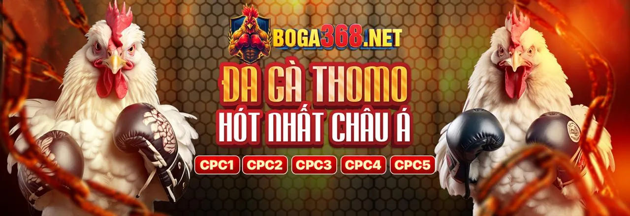 Sân chơi đá gà trực tuyến 789ber
